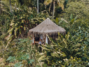 Jungle Lodge